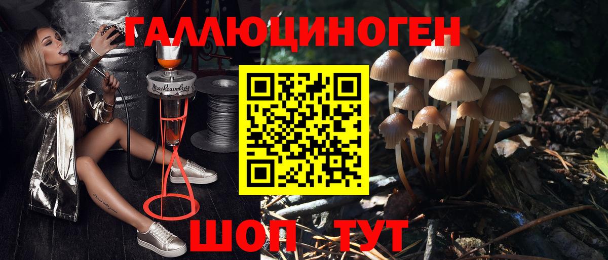 Псилоцибиновые грибы мухоморы  Вход с VPN  Орск 